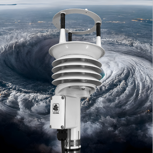 93500 ResponseONE™气象变送器